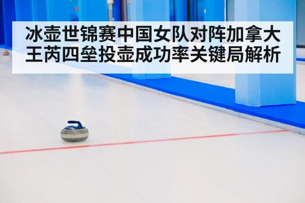 curling stone on ice